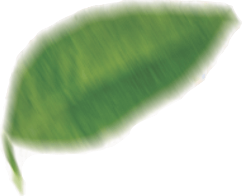 Você sabe o que é envase asséptico?