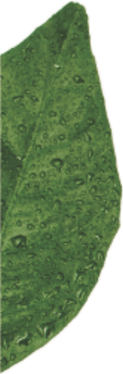 Você sabe o que é envase asséptico?