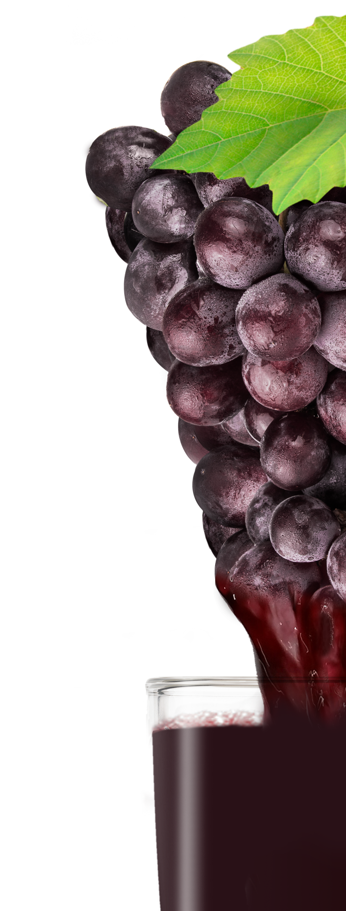 Informações do produto