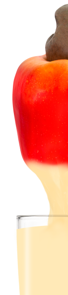 Informações do produto